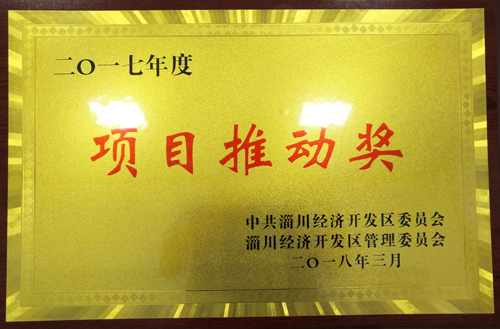 2017年度項目推動獎