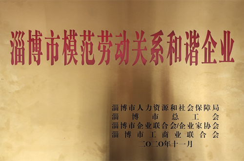 2020年11月榮獲“淄博市模范勞動關系和諧企業(yè)”
